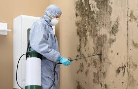 Trusted Potomac Heights, MD Mold Removal Experts